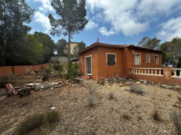 b2827db3-5b44-456c-b321-f6bd81353d19-whatsapp