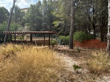 102facc6-fa62-421c-81c8-ec10cec33892-whatsapp