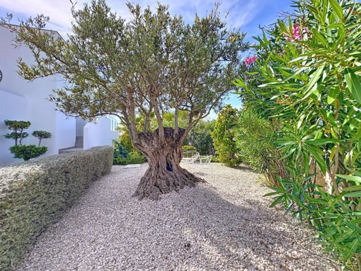 Image No.40-3 Bed Villa for sale