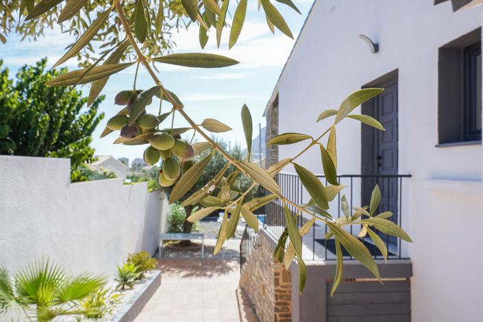 Image No.41-5 Bed Villa for sale