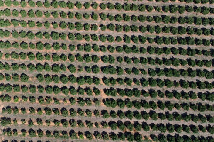 Image No.23-Villa for sale