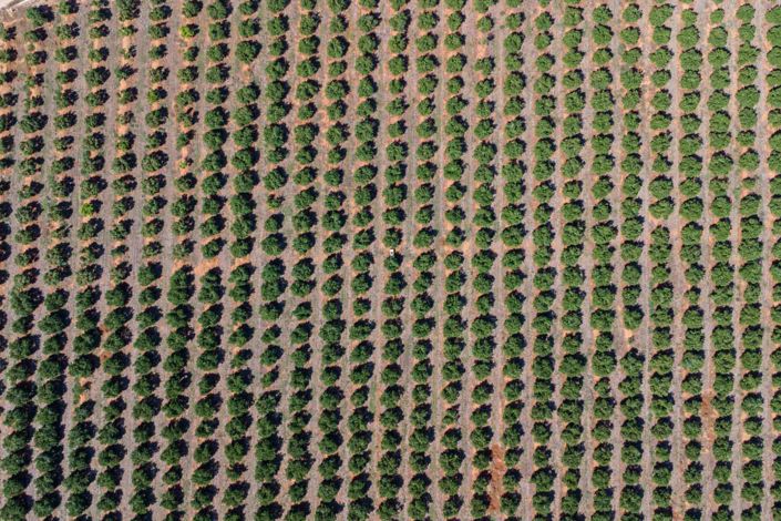 Image No.24-Villa for sale