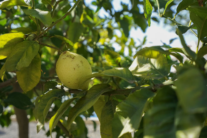 Image No.34-3 Bed Villa for sale