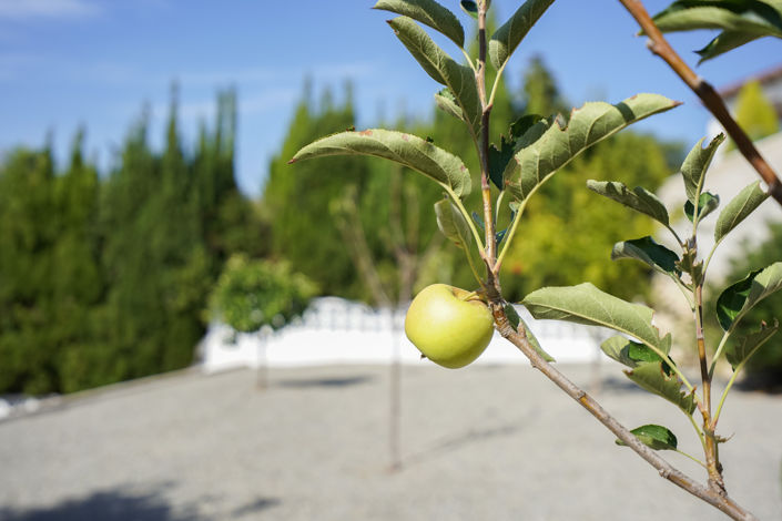 Image No.35-3 Bed Villa for sale