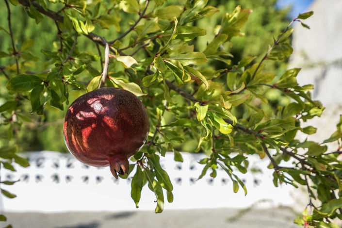 Image No.38-3 Bed Villa for sale