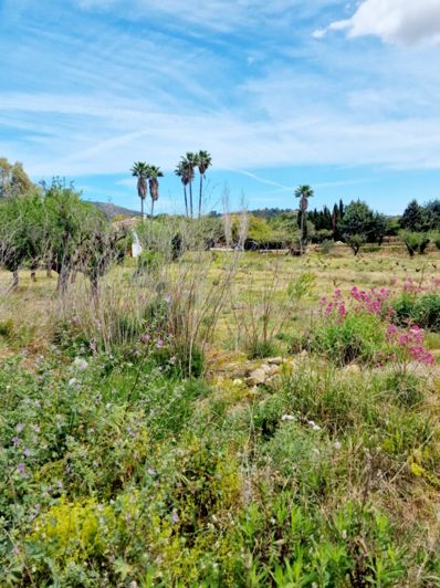 Image No.10-4 Bed Finca for sale