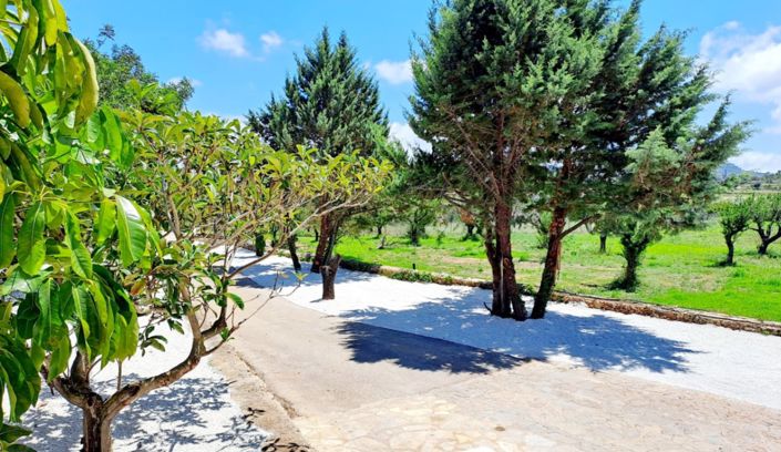 Image No.31-4 Bed Finca for sale