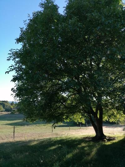 Image No.18-7 Bed Country Property for sale