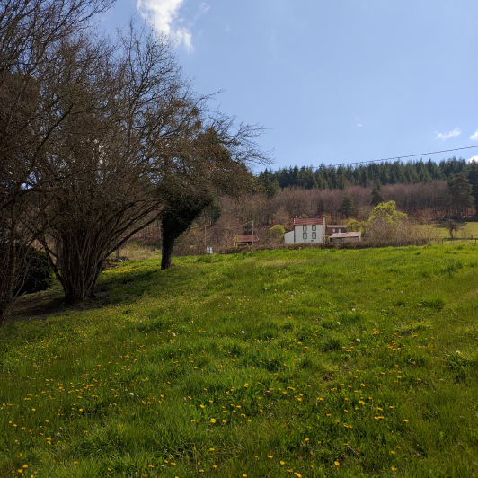 Image No.12-Land for sale