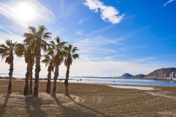 Image No.4-3 Bed Villa for sale