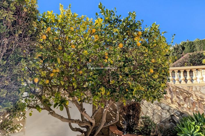 Image No.50-4 Bed Villa for sale