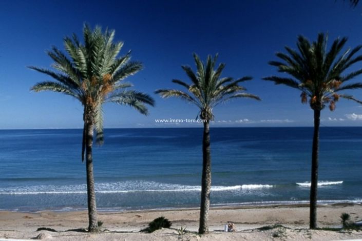 Image No.9-3 Bed Apartment for sale