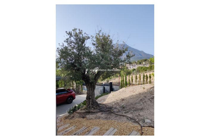 Image No.31-3 Bed Villa for sale