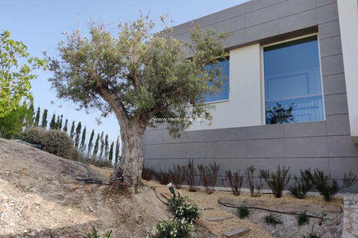 Image No.5-3 Bed Villa for sale