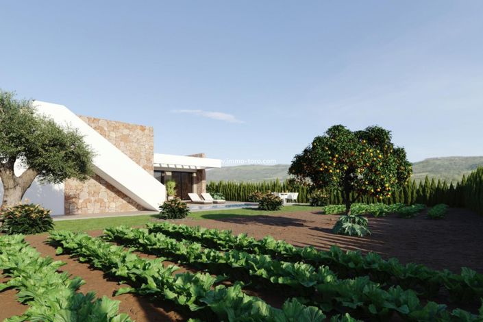 Image No.11-3 Bed Villa for sale