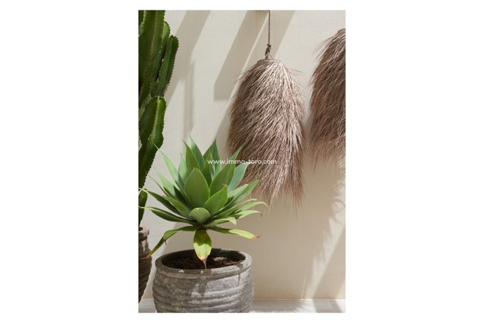 Image No.17-5 Bed Villa for sale