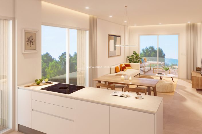 Image No.5-2 Bed Penthouse for sale