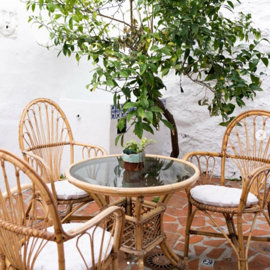 6-241328e1bcc9c0d8ce1222beb6c967a8