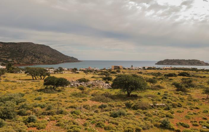 Image No.14-Plot for sale