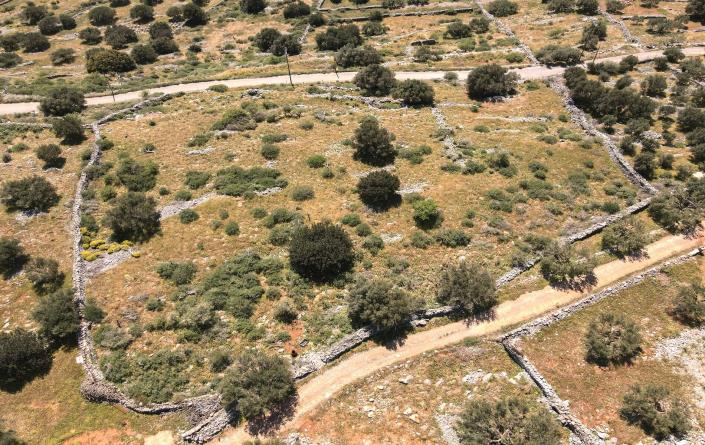 Image No.8-Plot for sale