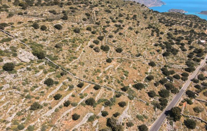 Image No.10-Plot for sale