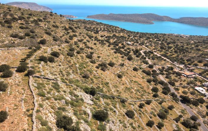 Image No.12-Plot for sale