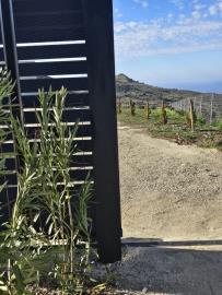 WhatsApp-Image-2025-09-17-at-11-12-24--2-