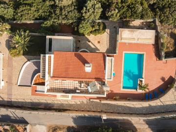 dji_fly_20230722_173318_585_1690036556057_photo