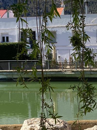 Image No.3-3 Bed Apartment for sale