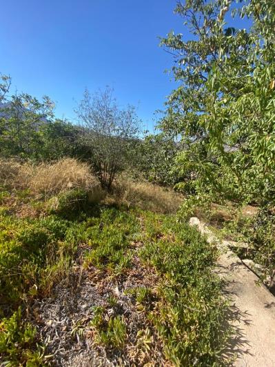 Image No.18-3 Bed Country House for sale