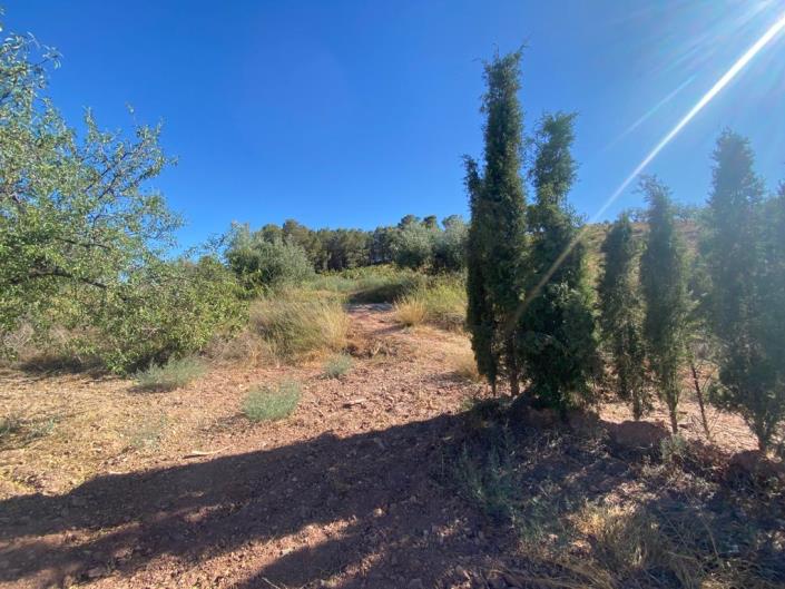 Image No.25-3 Bed Country House for sale