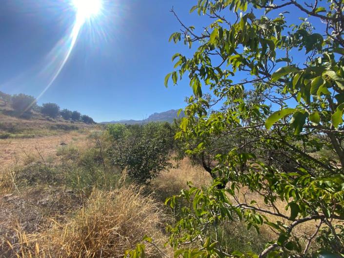 Image No.26-3 Bed Country House for sale