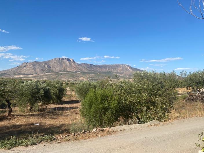 Image No.24-3 Bed Country House for sale