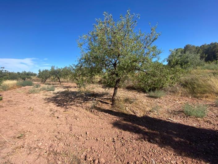 Image No.28-3 Bed Country House for sale