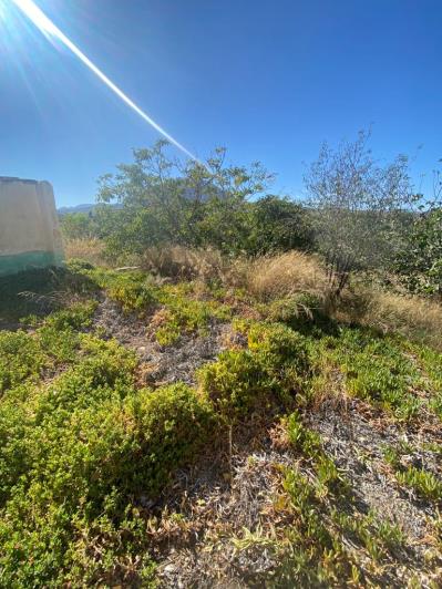 Image No.36-3 Bed Country House for sale