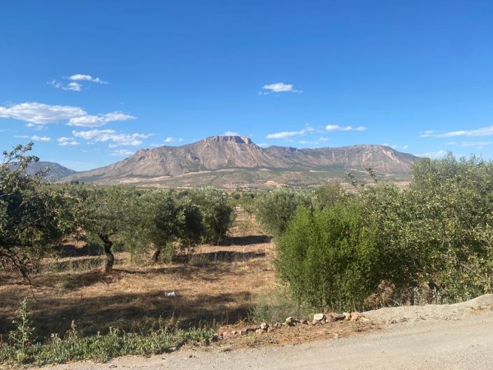 Image No.39-3 Bed Country House for sale