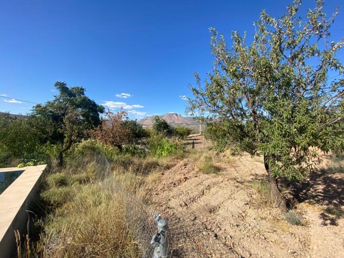 Image No.40-3 Bed Country House for sale