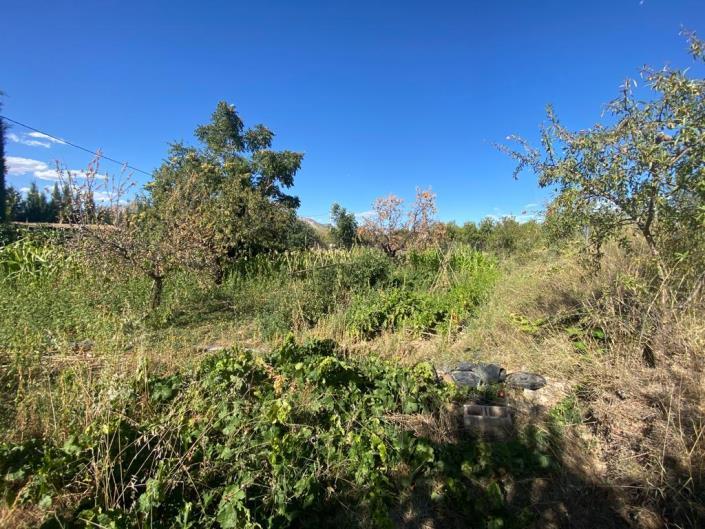 Image No.41-3 Bed Country House for sale