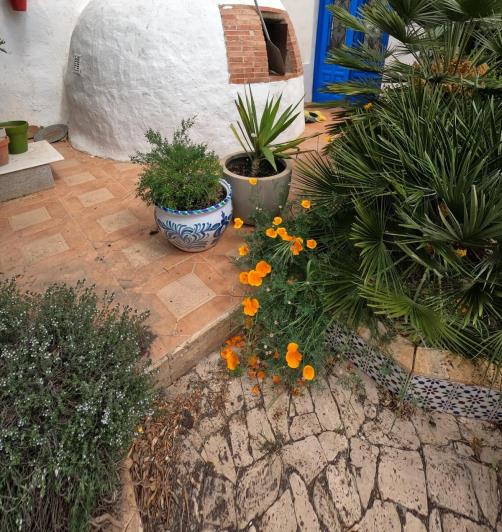 Image No.52-7 Bed Country Property for sale