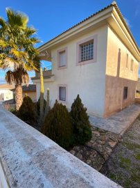 property158954685