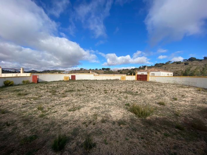 Image No.48-5 Bed Finca for sale