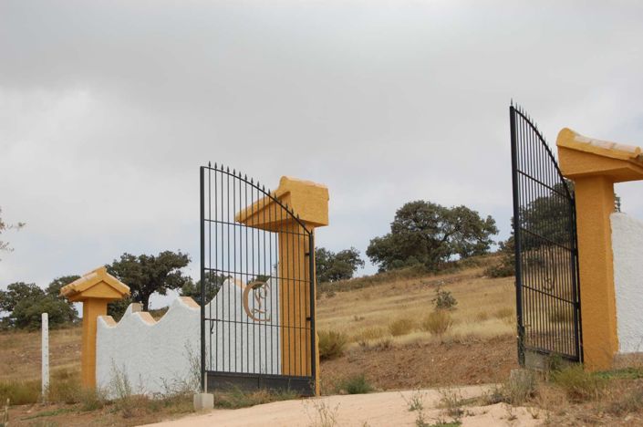 Image No.5-5 Bed Finca for sale