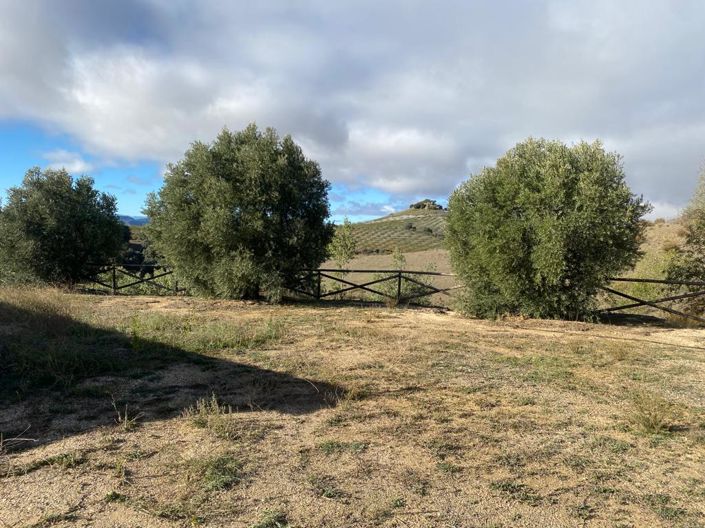 Image No.50-5 Bed Finca for sale