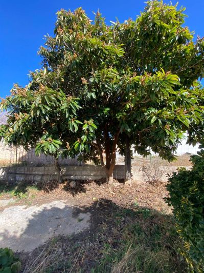 Image No.12-4 Bed Property for sale