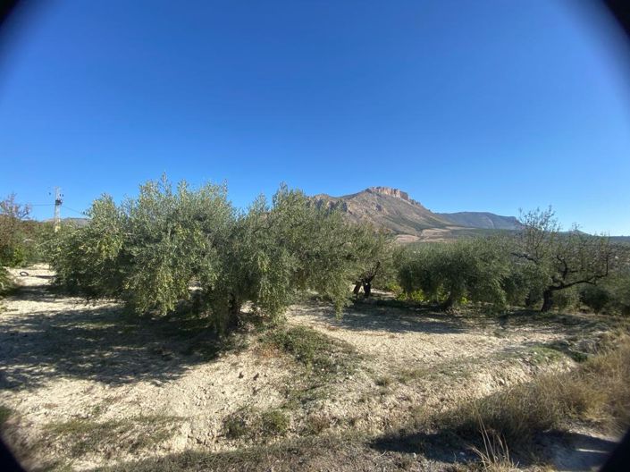 Image No.25-2 Bed Property for sale