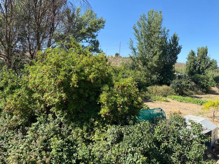 Image No.23-5 Bed House for sale