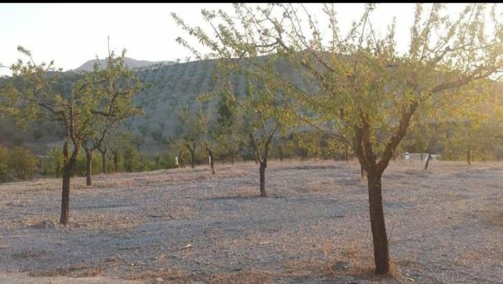 Image No.25-1 Bed Property for sale