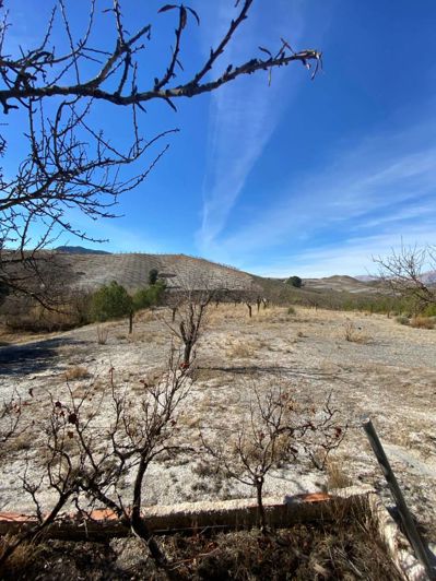 Image No.34-1 Bed Property for sale