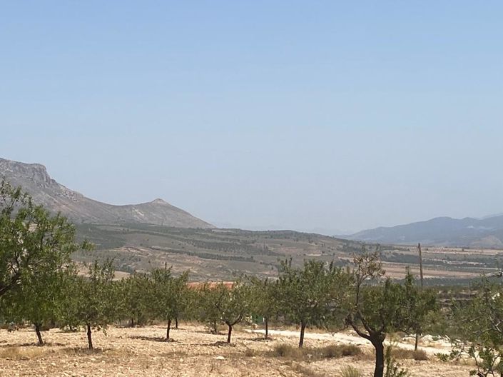 Image No.16-3 Bed Property for sale