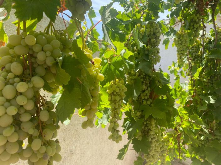 Image No.5-3 Bed Property for sale